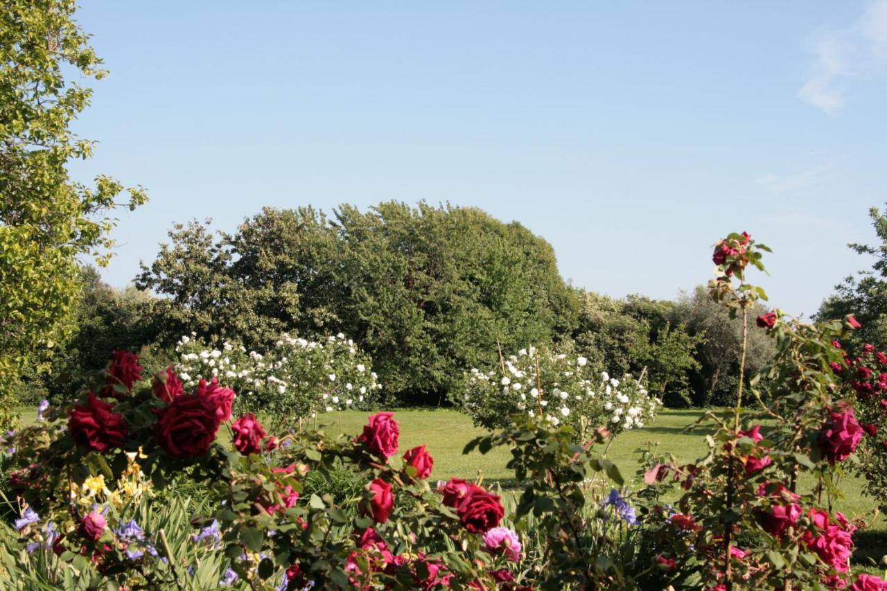 Pietrasanta - Versilia - Villa Arzilla Garden Con Piscina ตอนฟาโน ภายนอก รูปภาพ