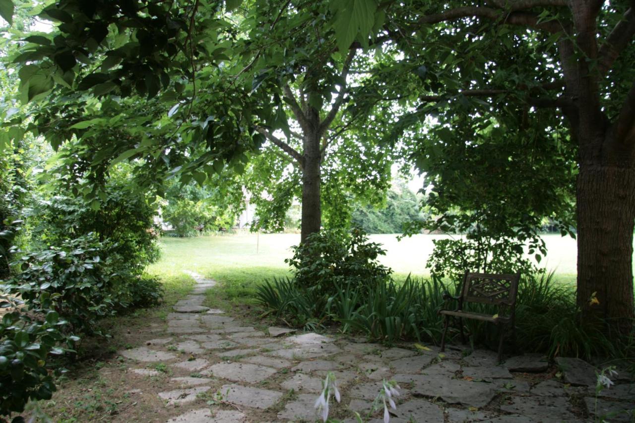 Pietrasanta - Versilia - Villa Arzilla Garden Con Piscina ตอนฟาโน ภายนอก รูปภาพ