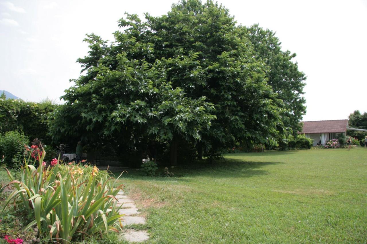 Pietrasanta - Versilia - Villa Arzilla Garden Con Piscina ตอนฟาโน ภายนอก รูปภาพ